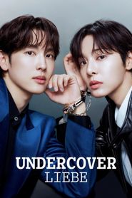 Undercover Liebe